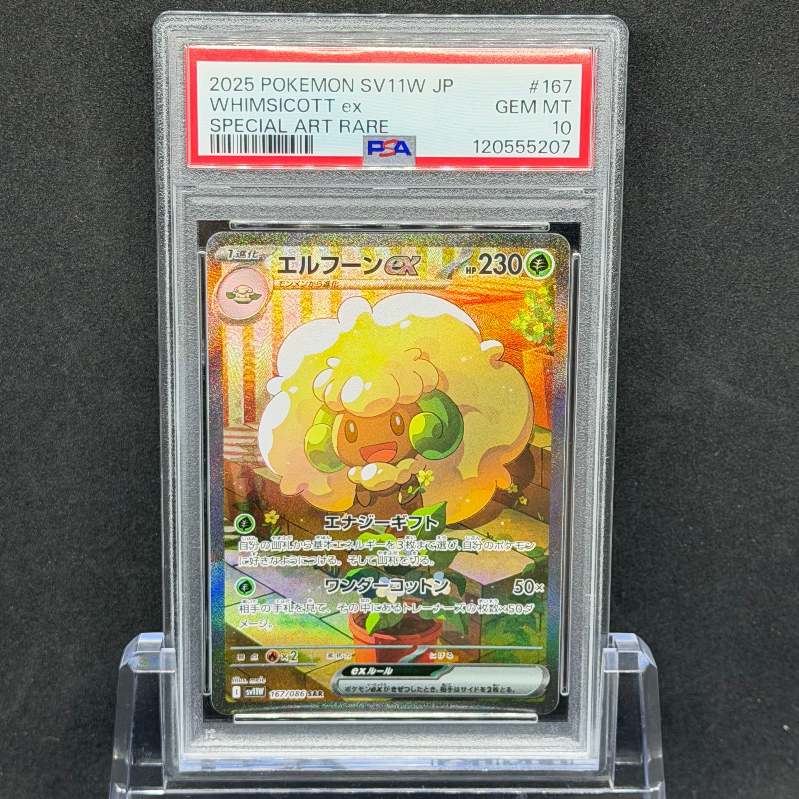 ブラッキーGX: プロモ[SM-P 125](プロモーションカード「SM-P」)の新品