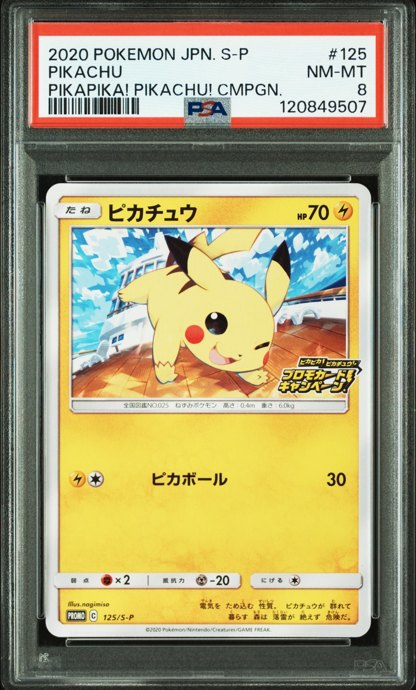 ピカチュウ: プロモ P [S-P 125](ピカピカ!ピカチュウ!プロモカードキャンペーン)