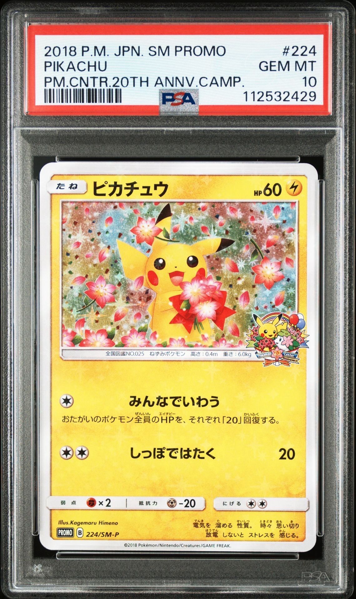 ピカチュウ: プロモ[SM-P 224](プロモーションカード「SM-P」)