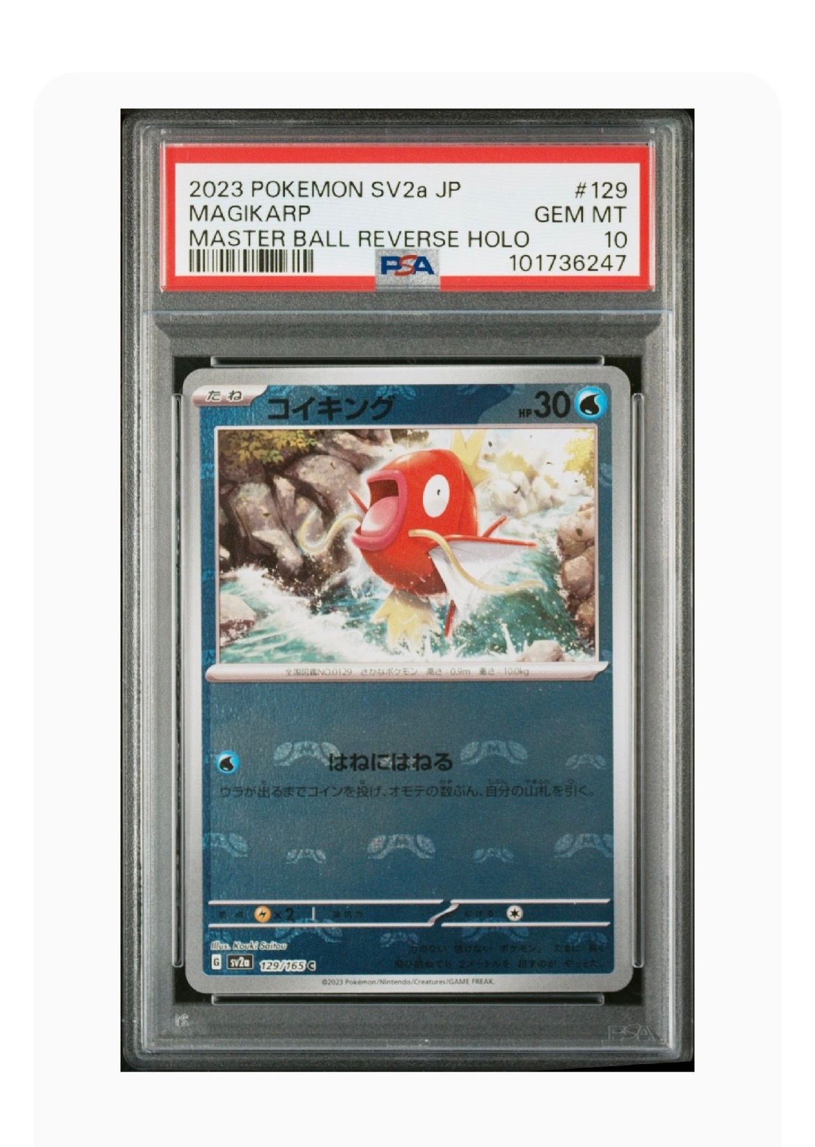 コイキング C: マスターボールミラー[SV2a 129/165](強化拡張パック「ポケモンカード151」)