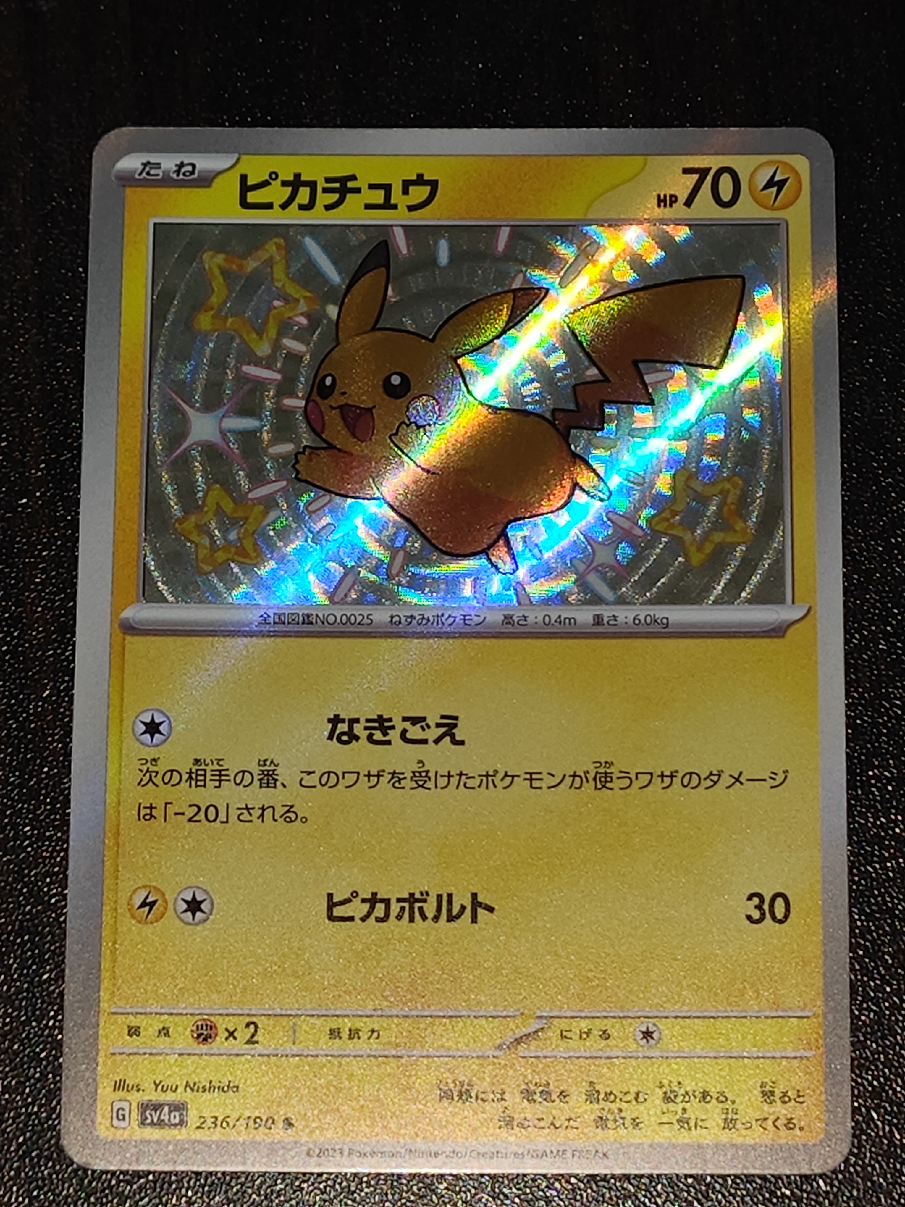 PSA10】ミチーナしんでん [DPt-P 044](プロモーションカード「ポケモン