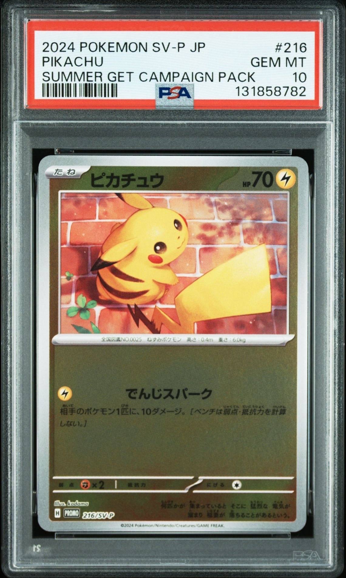 ピカチュウ P [SV-P 216](プロモカードパック「ポケカの夏がキタ!プロモカードGetキャンペーン!」)