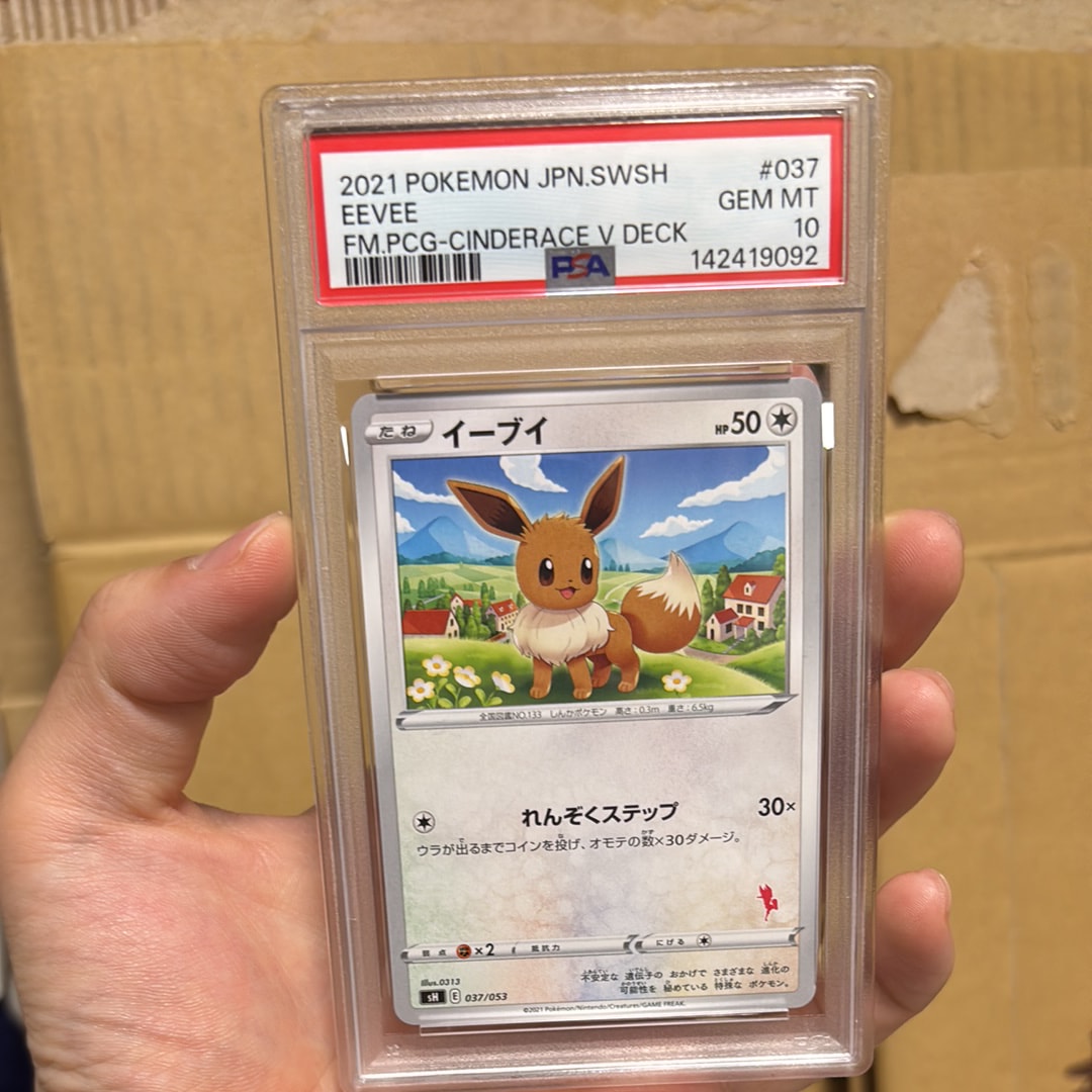 2024年春の イーブイ PSA10 ファミリーポケモン イーブイ 037/053 10
