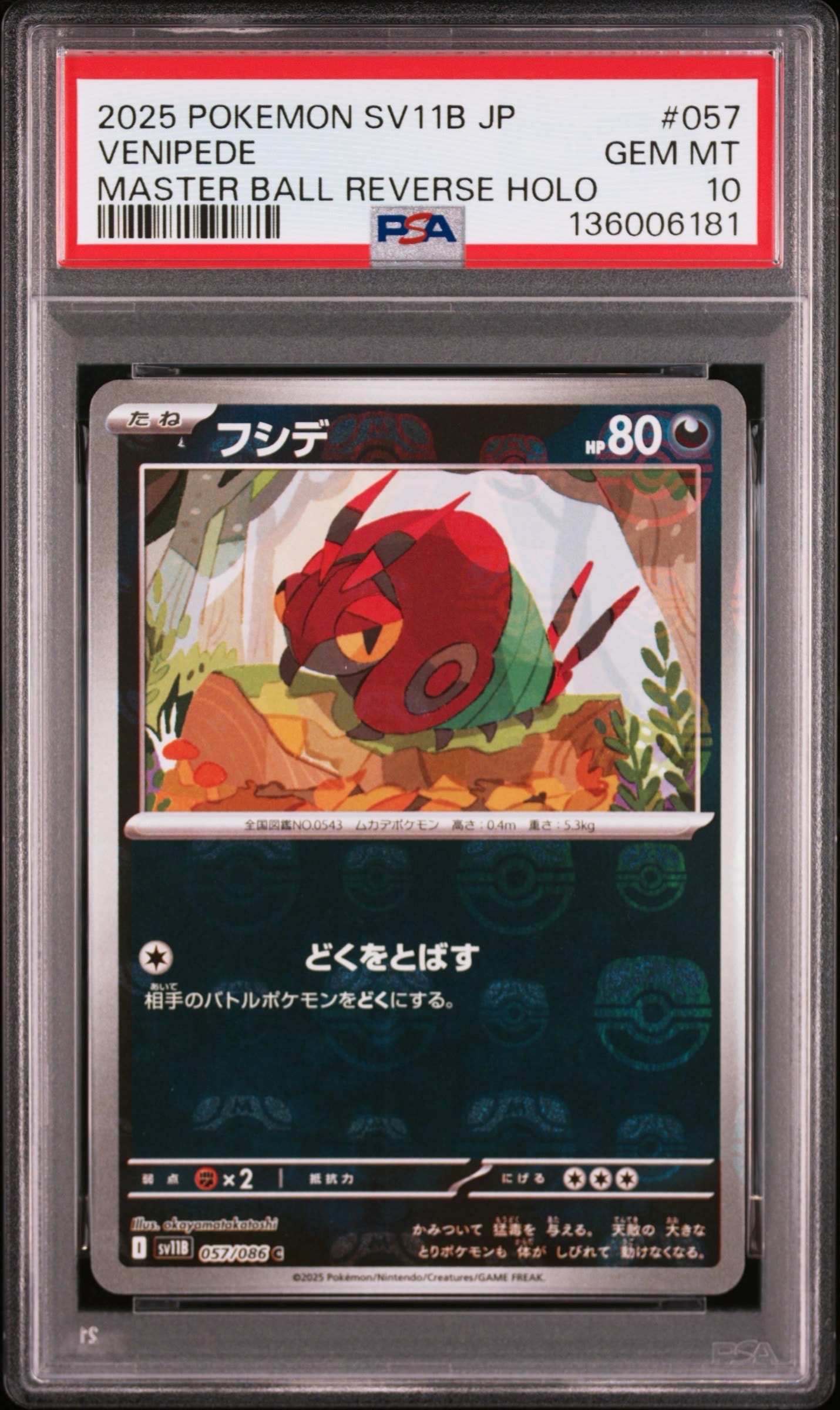 フシデ C :マスターボールミラー [SV11B 057/086](拡張パック「ブラックボルト」)