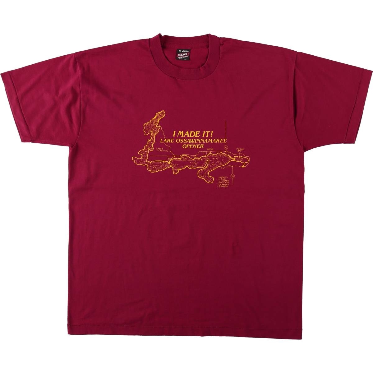 古着 90年代 フルーツオブザルーム FRUIT OF THE LOOM BEST プリントTシャツ USA製 メンズXL相当 ヴィンテージ/eaa657725