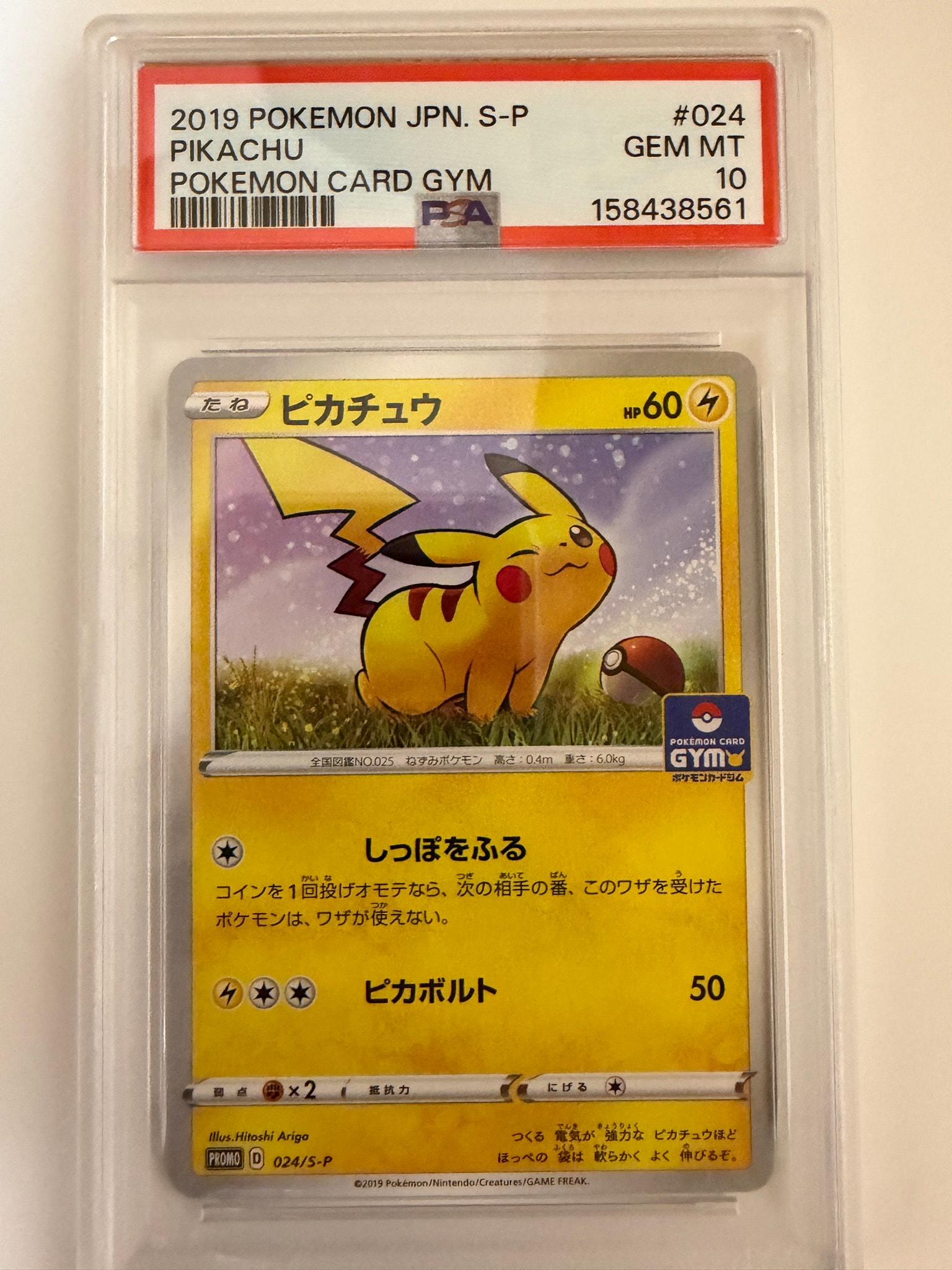 ピカチュウ: プロモ P [S-P 024](ポケモンカードゲーム ソード