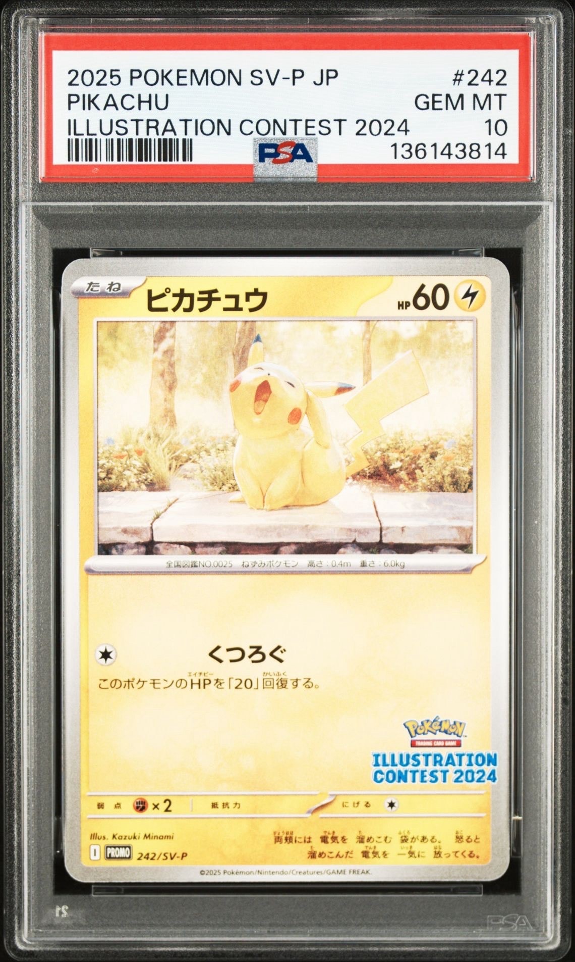 PSA10】ピカチュウ [SV-P 242](プロモカードパック