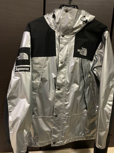 Supreme x The North Face Metallic Mountain Parka "Silver"