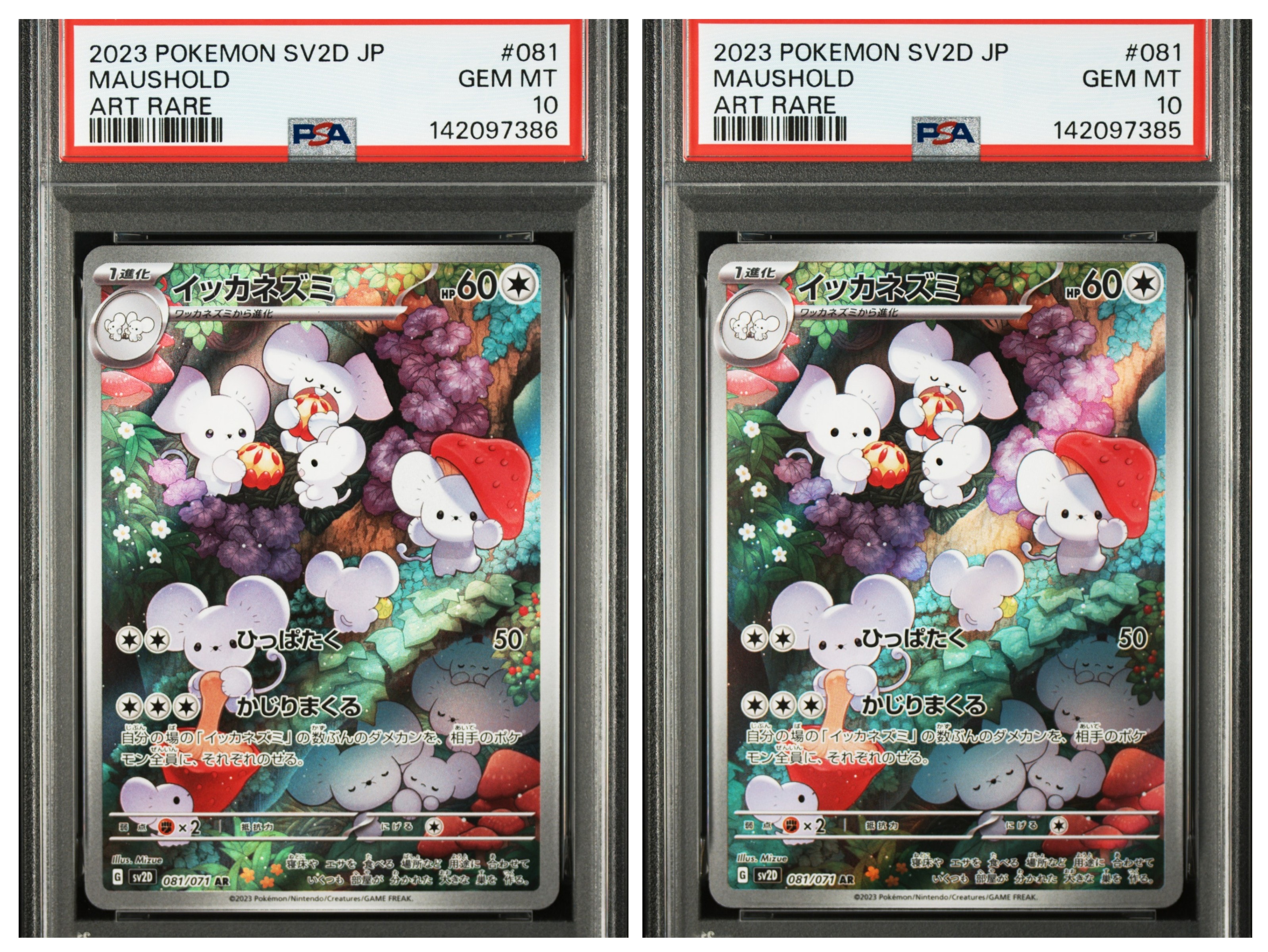 PSA10】イッカネズミ AR[SV2D 081/071](拡張パック「クレイバースト