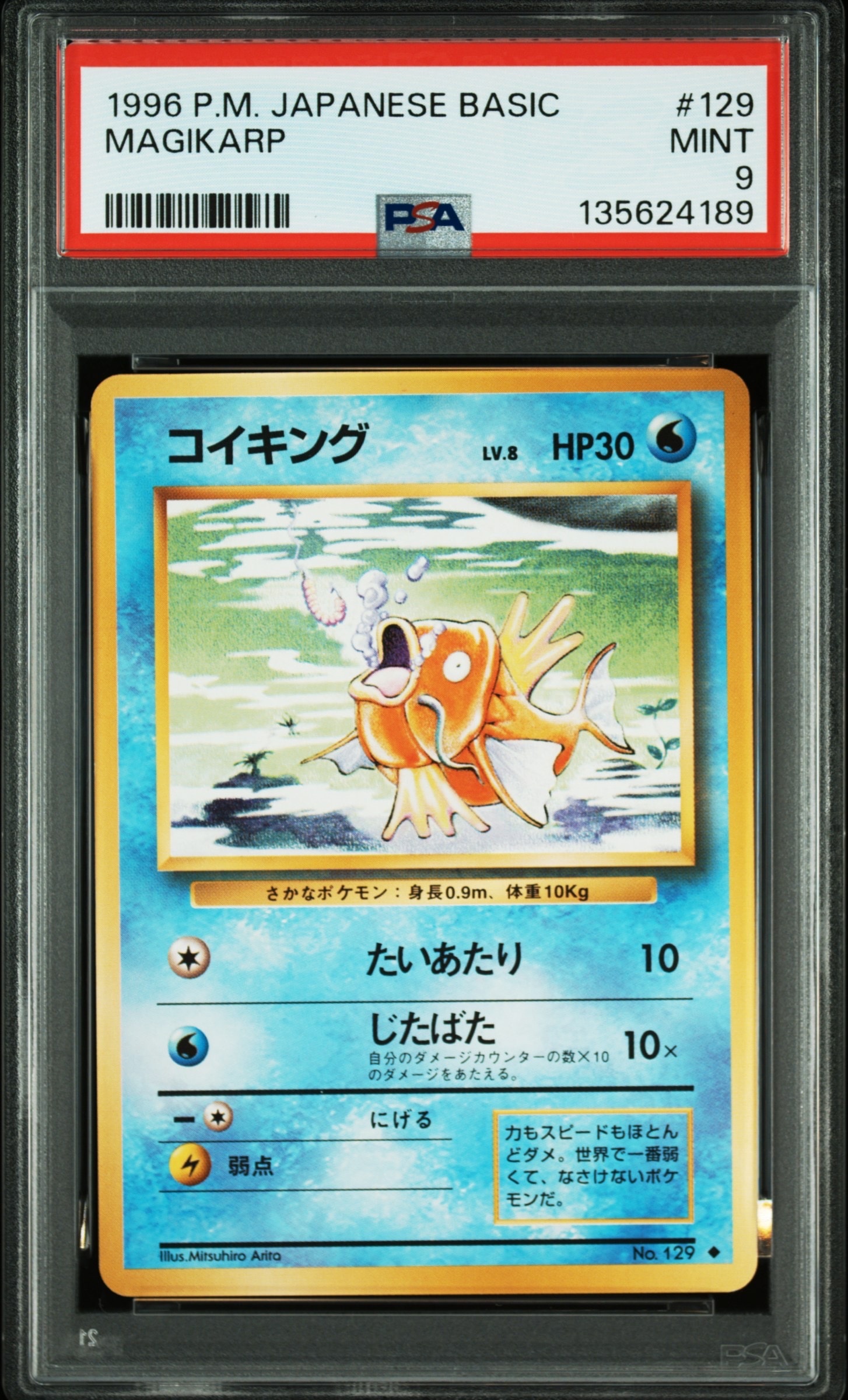 コイキング ◆ : 旧裏 [PMCG1-2](拡張パック「ポケットモンスター カードゲーム」再販)