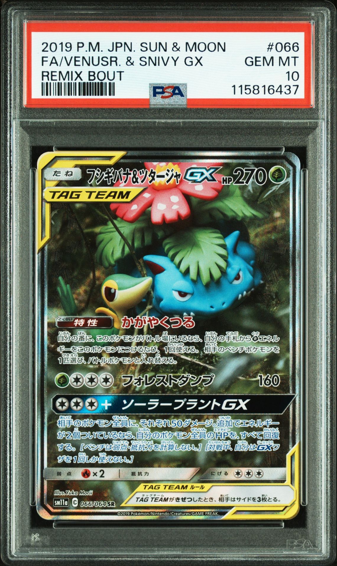 フシギバナ&ツタージャGX SR: SA[SM11a 066/064](強化拡張パック「リミックスバウト」)