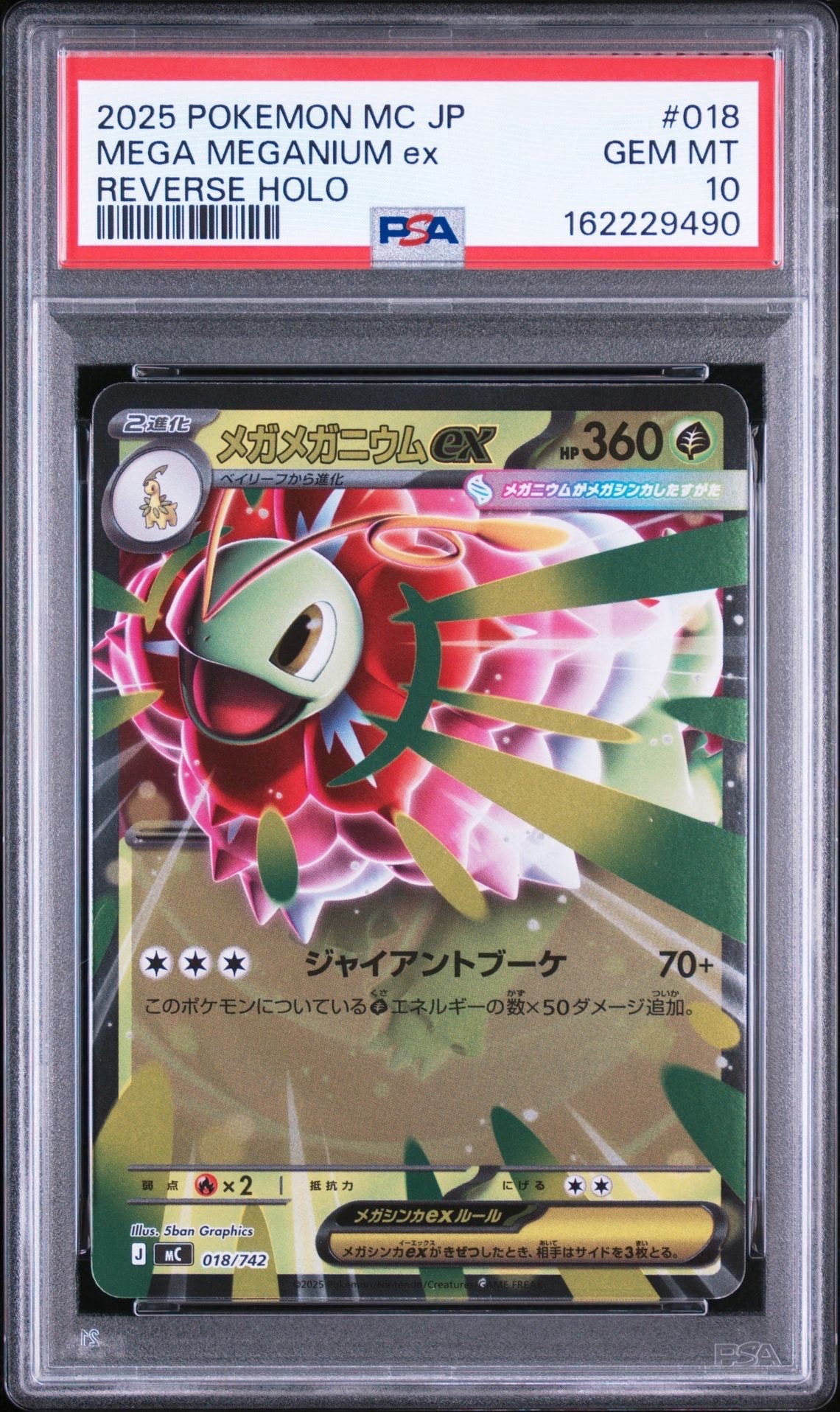 ポケモンカード ブラッキー デルタ種 1st PSA10 PSA10】ブラッキーδ-デルタ種 R: 1ED[PCG6 069/086](拡張パック