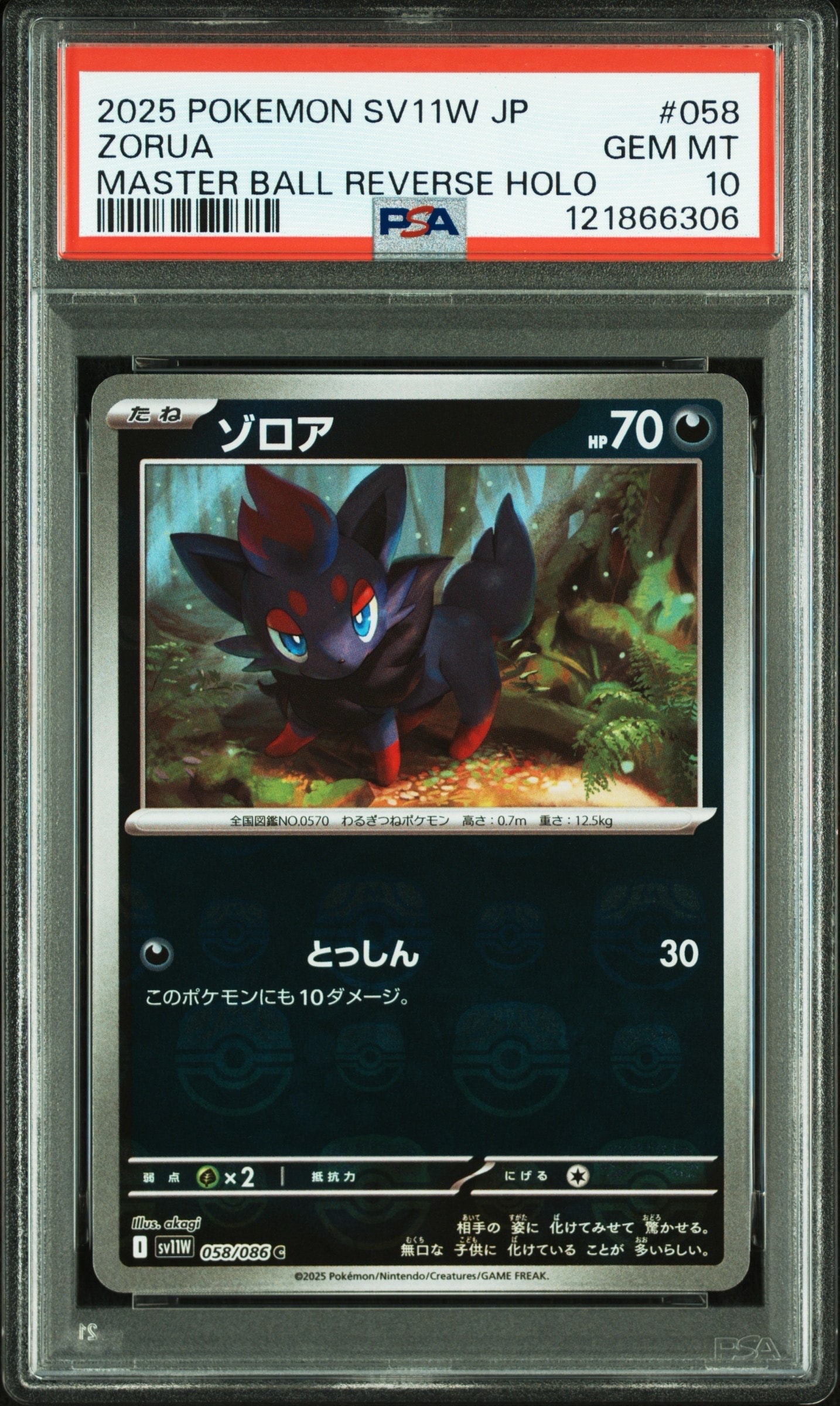 ゾロア C :マスターボールミラー [SV11W 058/086](拡張パック「ホワイトフレア」)