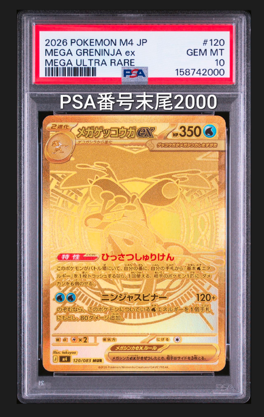 ライチュウ ☆ [web 036/048](ポケモンカード☆web)の新品/中古フリマ
