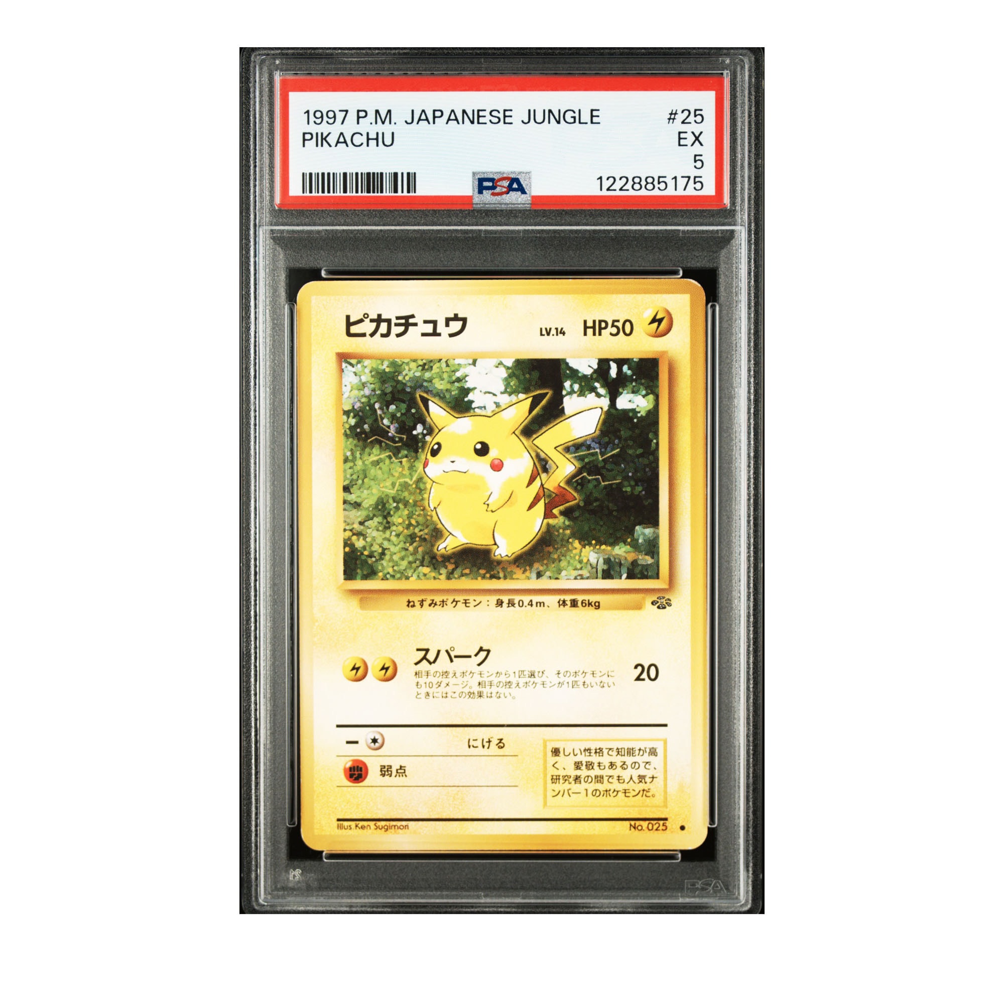 オールナイトパーティ: プロモ[XY-P 139/XY-P](プロモーションカード