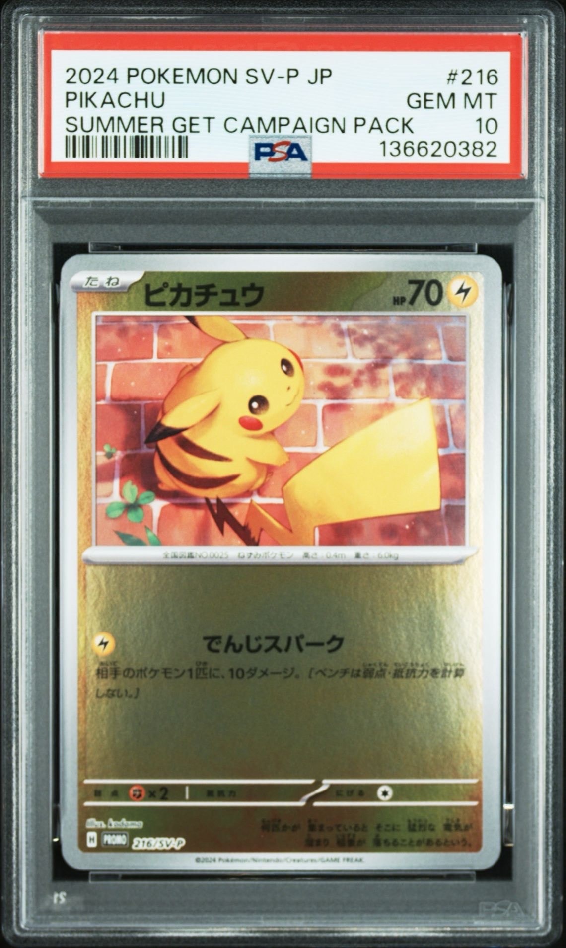 ピカチュウ P [SV-P 216](プロモカードパック「ポケカの夏がキタ