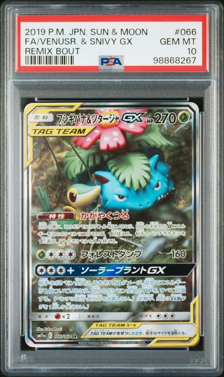 フシギバナ&ツタージャGX SR: SA[SM11a 066/064](強化拡張パック「リミックスバウト」)