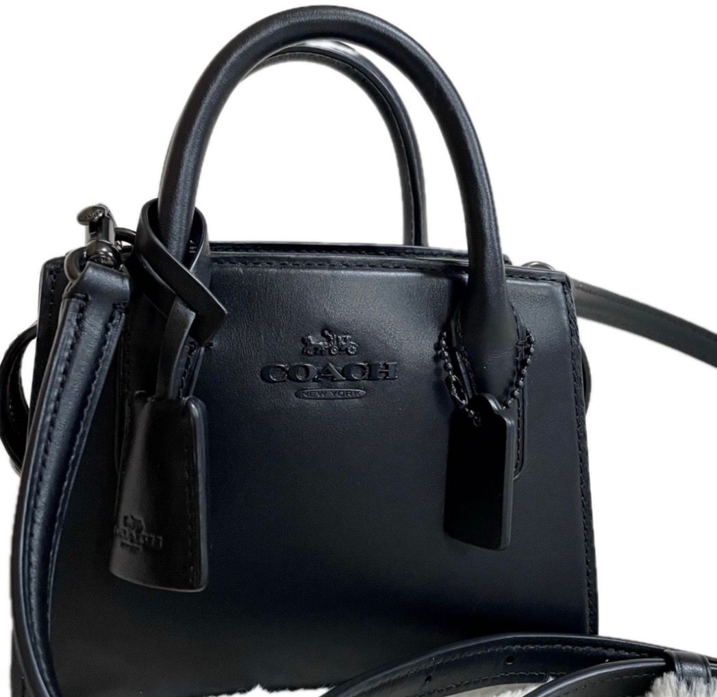 美品 COACH コーチ ミニ アンドレア キャリーオール ショルダーバッグ