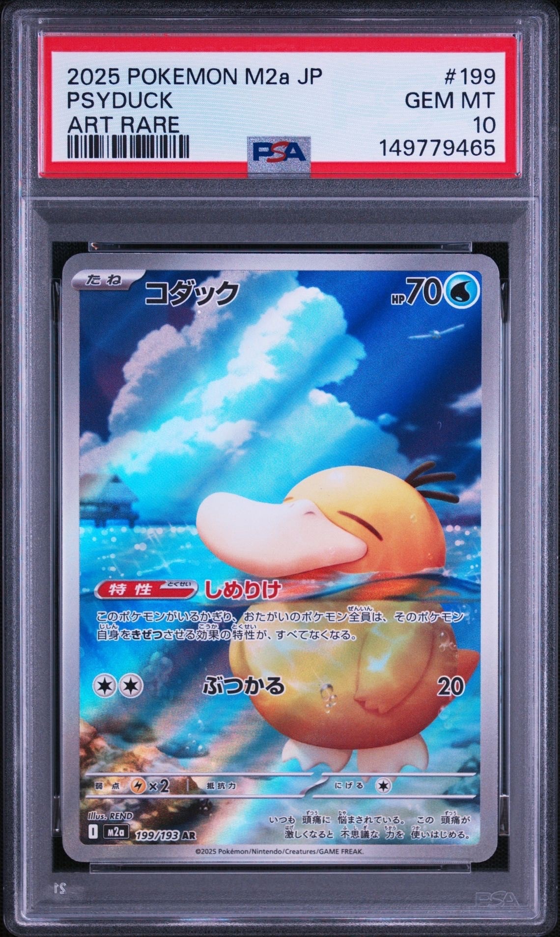 コダック AR [M2a 199/193](ハイクラスパック「MEGAドリームex」)