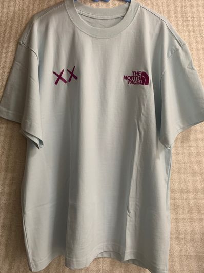 The North Face Kaws Tee "Ice Blue"