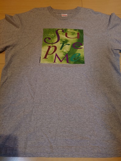 Supreme 17fw Venus Tee グレー