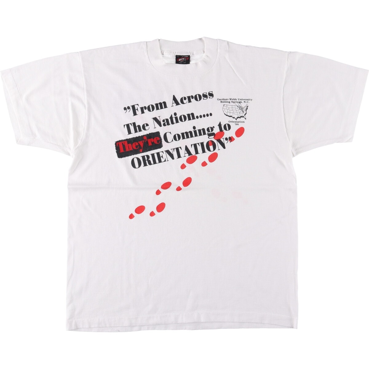 古着 90年代 フルーツオブザルーム FRUIT OF THE LOOM プリントTシャツ USA製 メンズL相当 ヴィンテージ/eaa568785