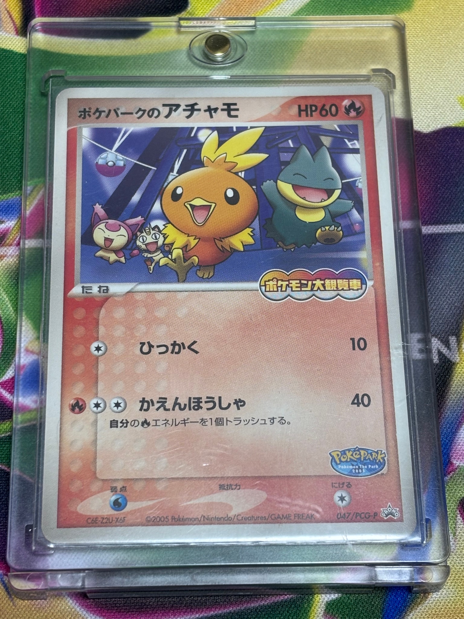 ポケパークのアチャモ ルギア くるくるシップ ケンタロス プロモ 15枚セット ポケパークのアチャモ ルギア くるくるシップ ケンタロス プロモ 15枚