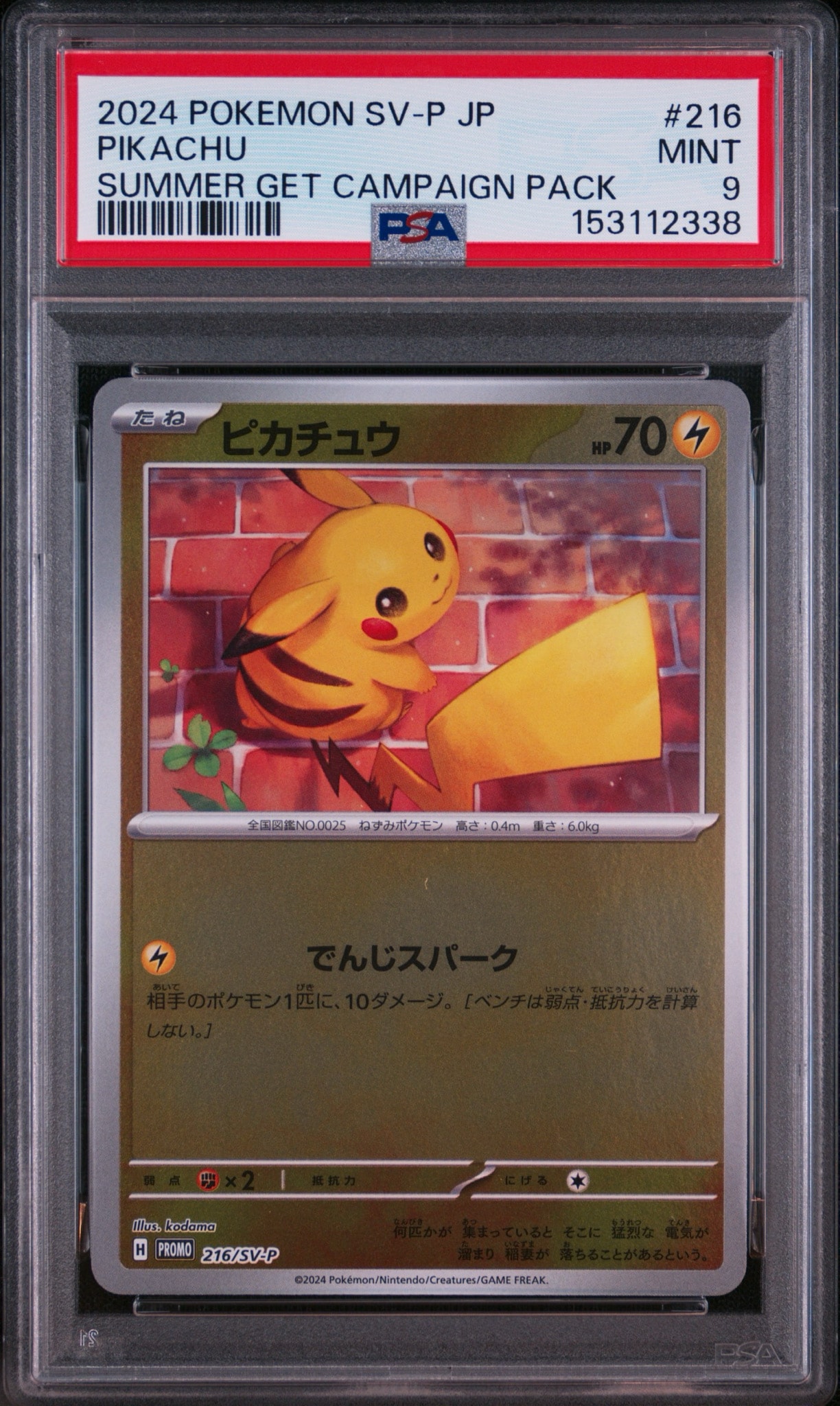 【PSA10】ピカチュウ ポケカの夏がキタ！プロモ PSA10】ピカチュウ P [SV-P 216](プロモカードパック「ポケカの夏が