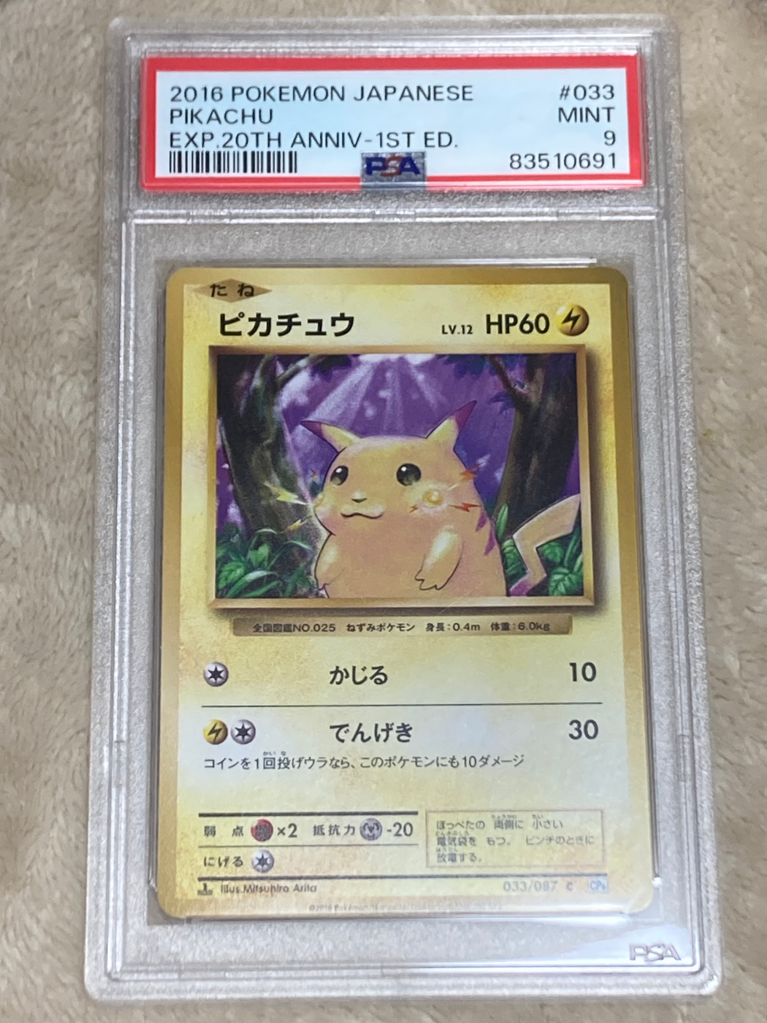 ピカチュウ C :1ED [CP6 033/087](コンセプトパック「ポケットモンスターカードゲーム 拡張パック 20th Anniversary」)