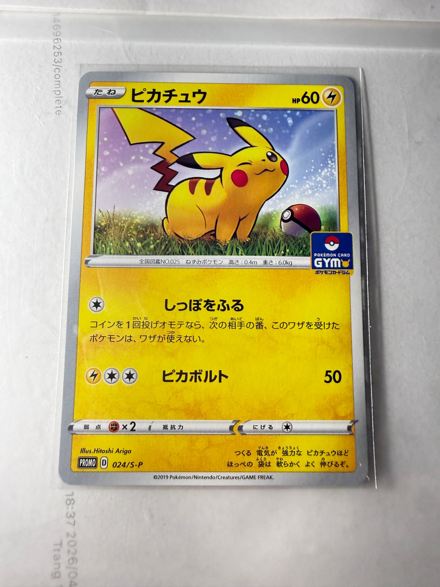 PSA10】ピカチュウ: プロモ P [S-P 024](ポケモンカードゲーム ソード