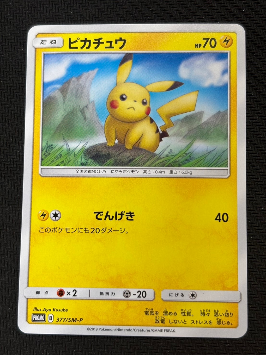 【PSA10】ポケモンカード ピカチュウ ローソンサマーキャンペーン ホロ ポケモンカードゲーム PSA10 ピカチュウ プロモ ローソン サマー