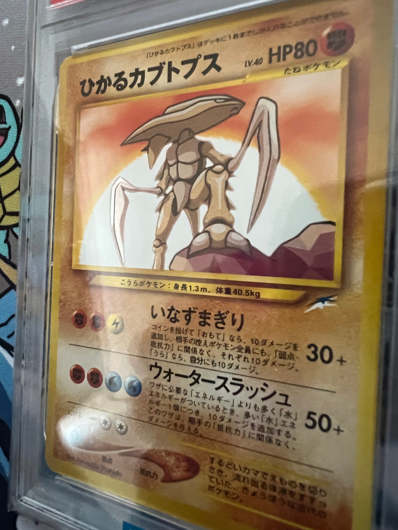 PSA8以下】ひかるカブトプス : 旧裏 [neo4 No.141](ポケモンカード