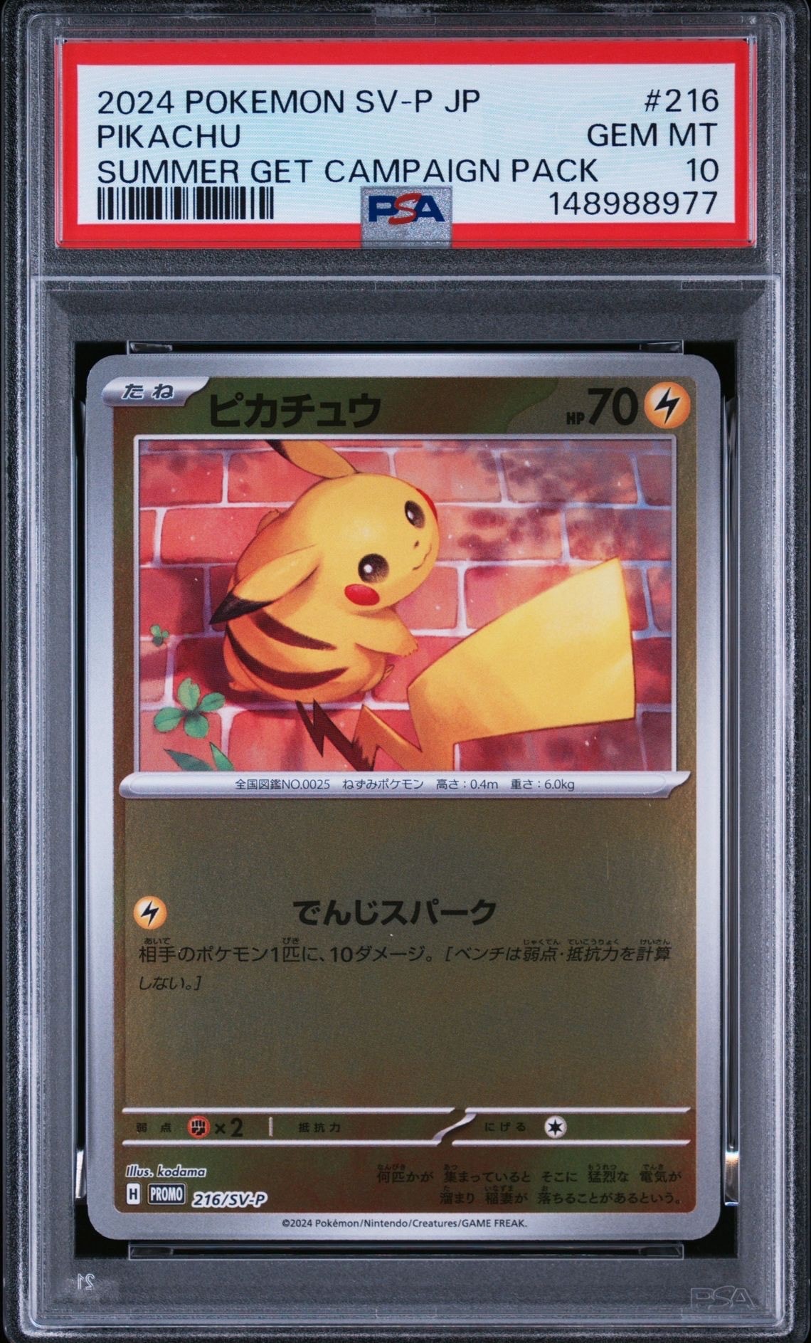 ピカチュウ P [SV-P 216](プロモカードパック「ポケカの夏がキタ!プロモカードGetキャンペーン!」)