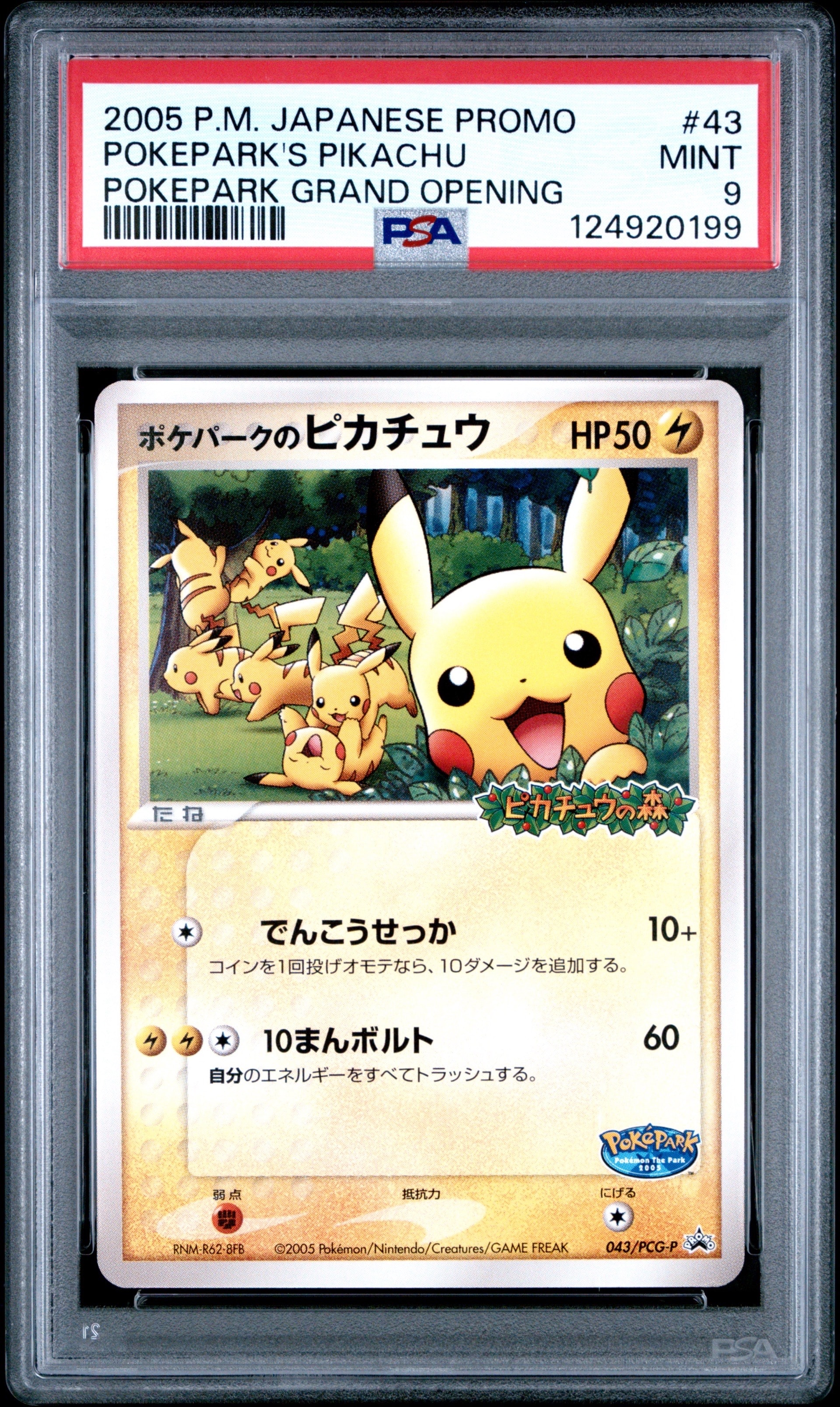 ポケモンカード ポケパークのピカチュウ（043/PCG-P） PCG ポケパーク