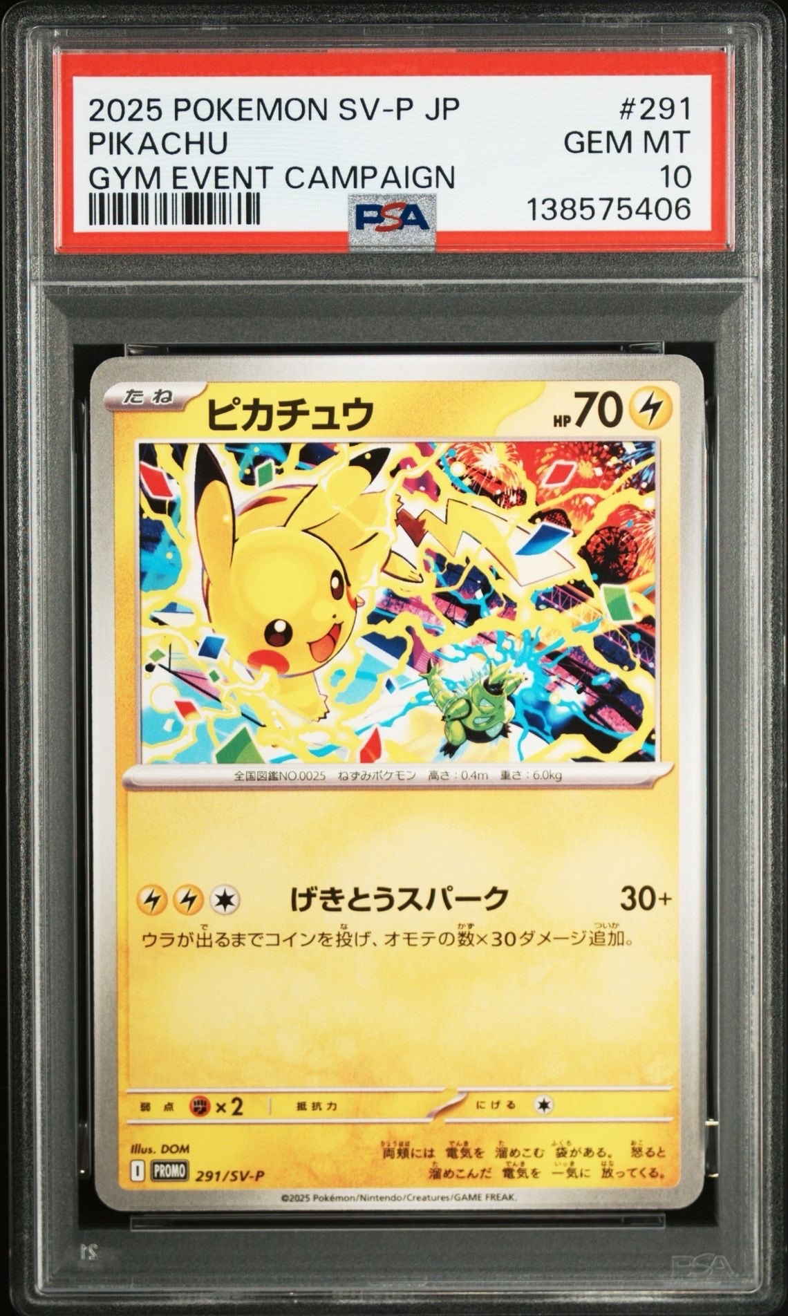 ピカチュウ : プロモ [SVP EN 085](「ゴッホ展」 プロモーションカード