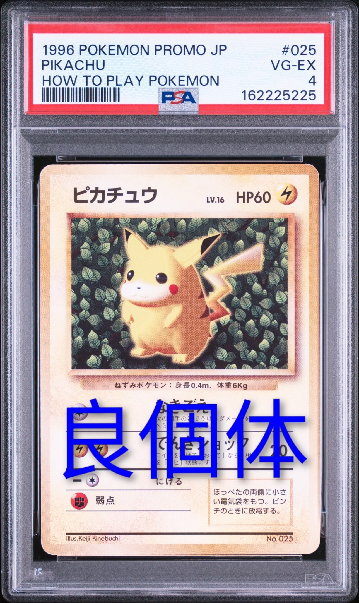 ピカチュウ[PMCG-P No.025](プロモ「すぐわかるポケモンカードの〜 ピカチュウ P : 旧裏 (※ 光沢なし) [PMCG-P No.025](プロモーション