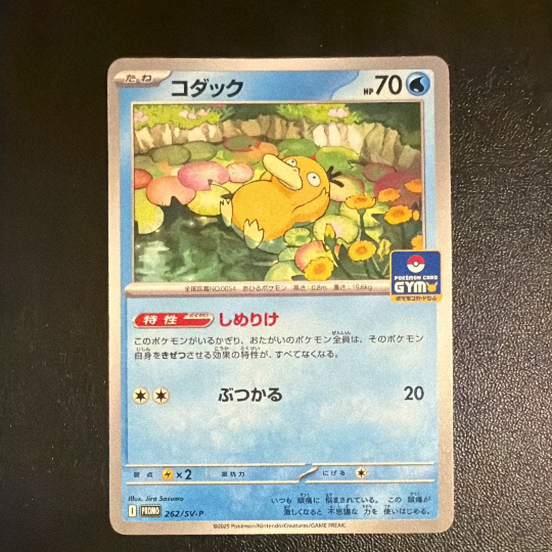 コダック P [SV-P 262](プロモカードパック「第10弾」)の新品/中古
