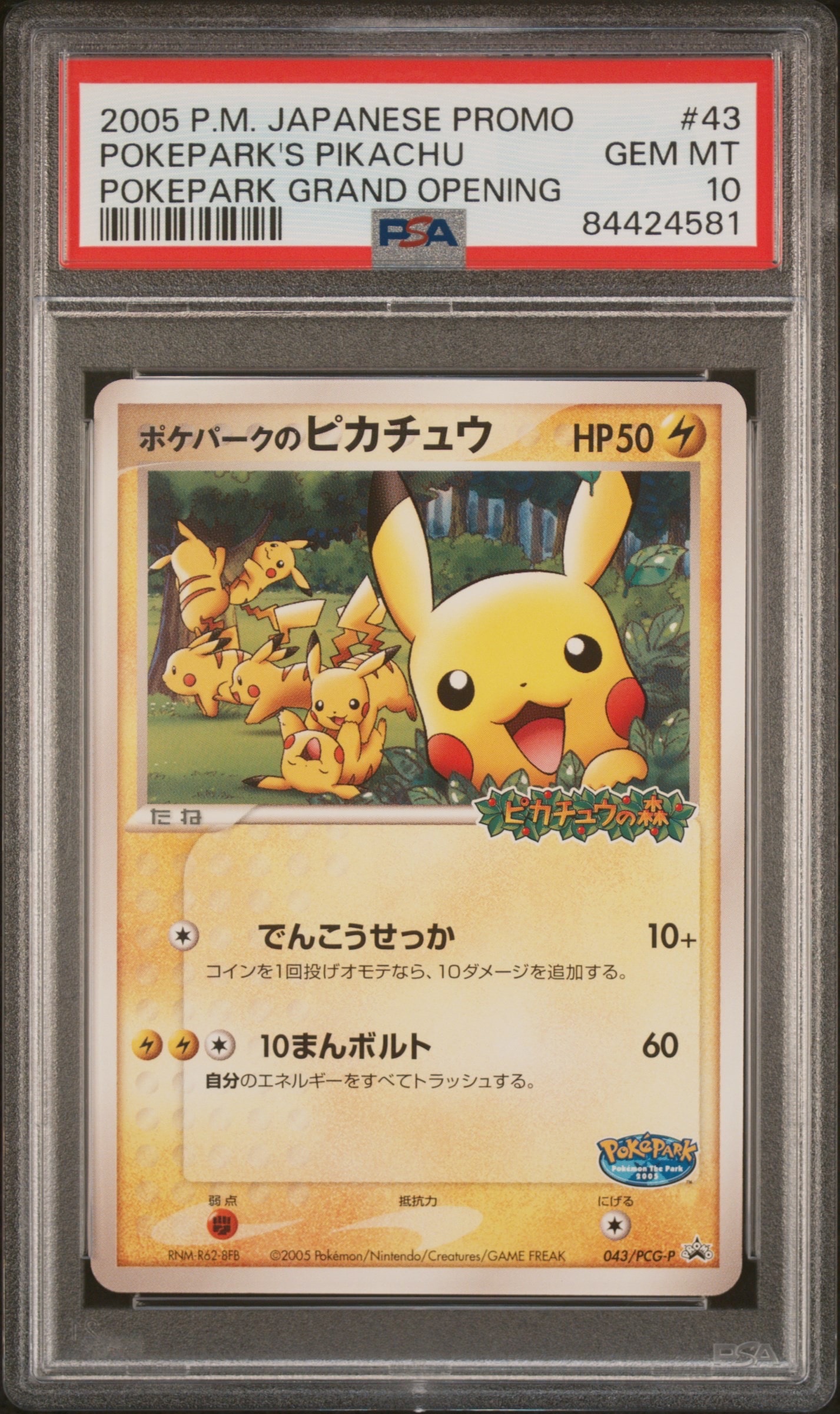 ポケパークのピカチュウ P [PCG-P 043](プロモーションカード
