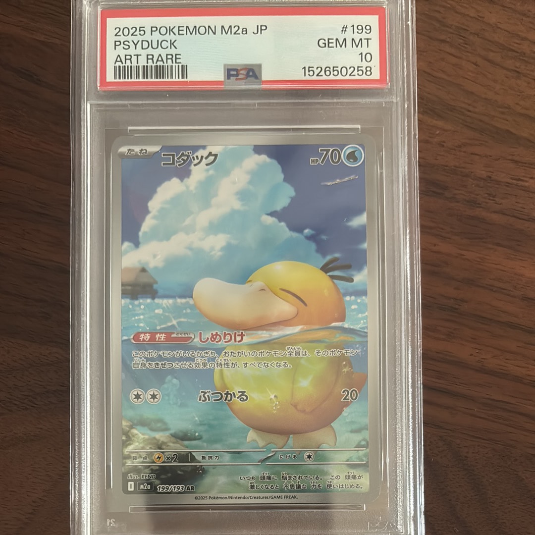 コダック AR [M2a 199/193](ハイクラスパック「MEGAドリームex」)通販