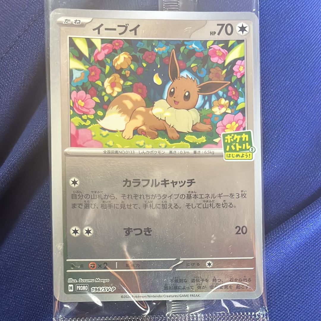 イーブイ P [SV-P-SM 196](プロモカードパック「ポケカバトルをはじめよう!キャンペーン」)