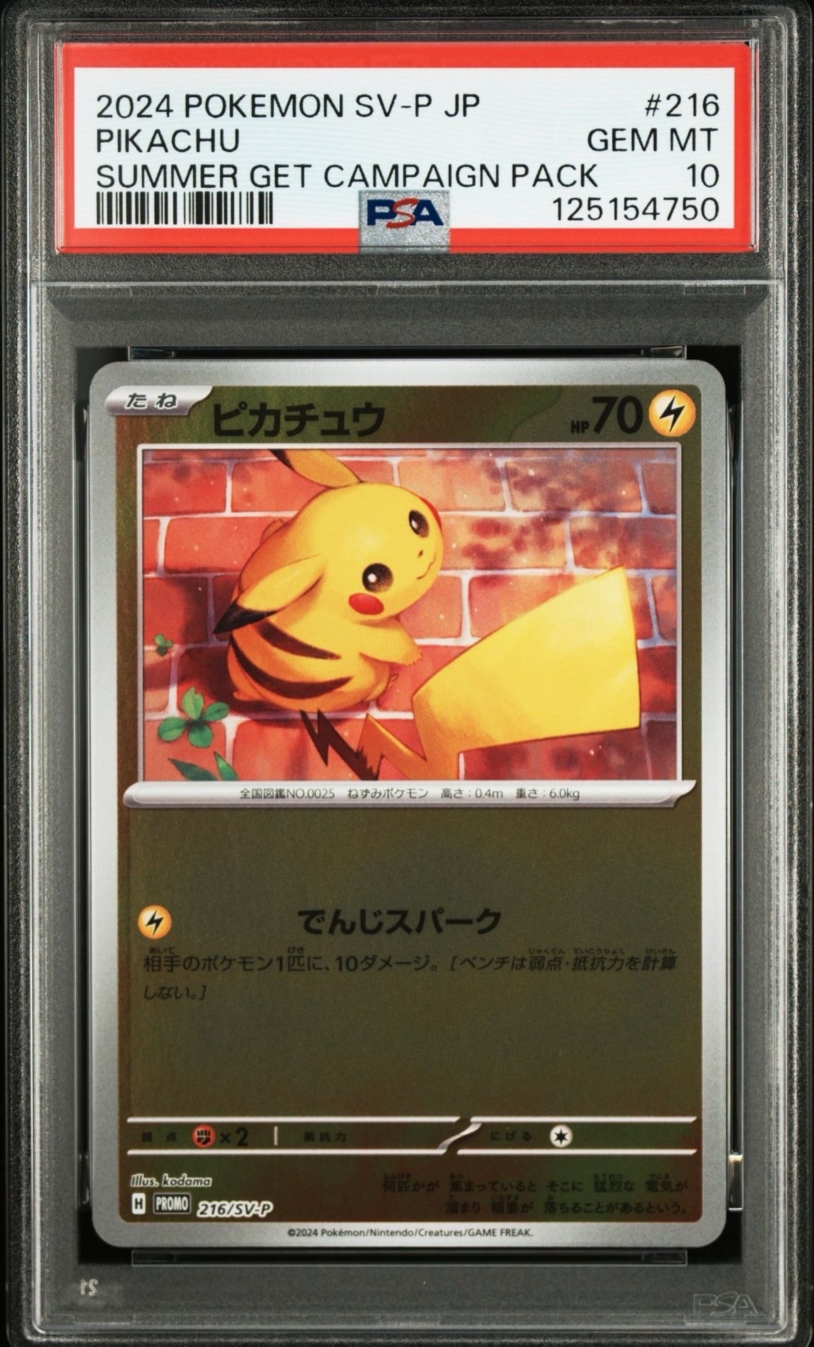 ピカチュウ P [SV-P 216](プロモカードパック「ポケカの夏がキタ!プロモカードGetキャンペーン!」)