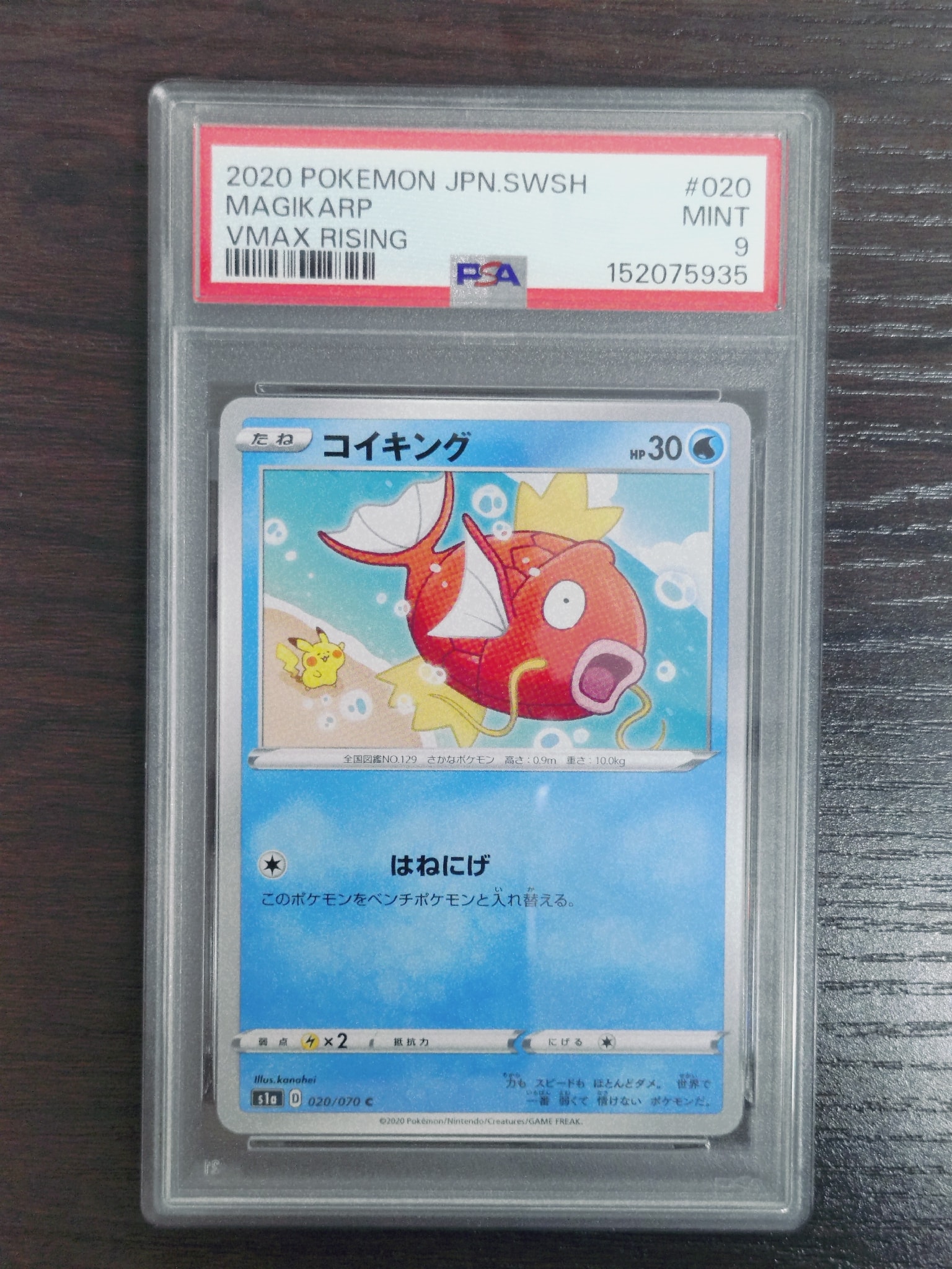 PSA9】コイキング C[S1a 020/070](強化拡張パック「VMAXライジング