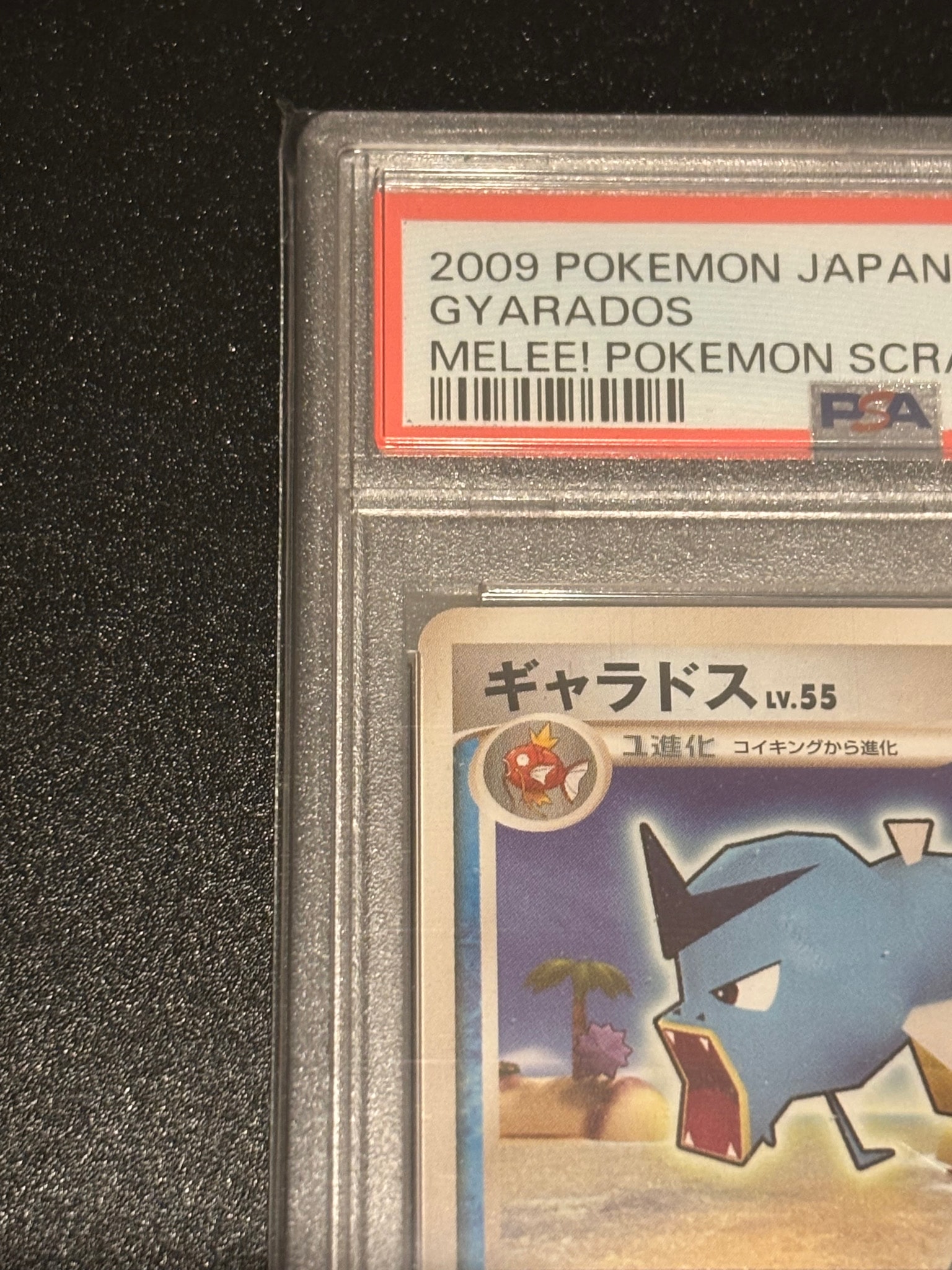 PSA9】ギャラドス[Pt-R 006/016](乱戦！ポケモンスクランブル×ポケモン