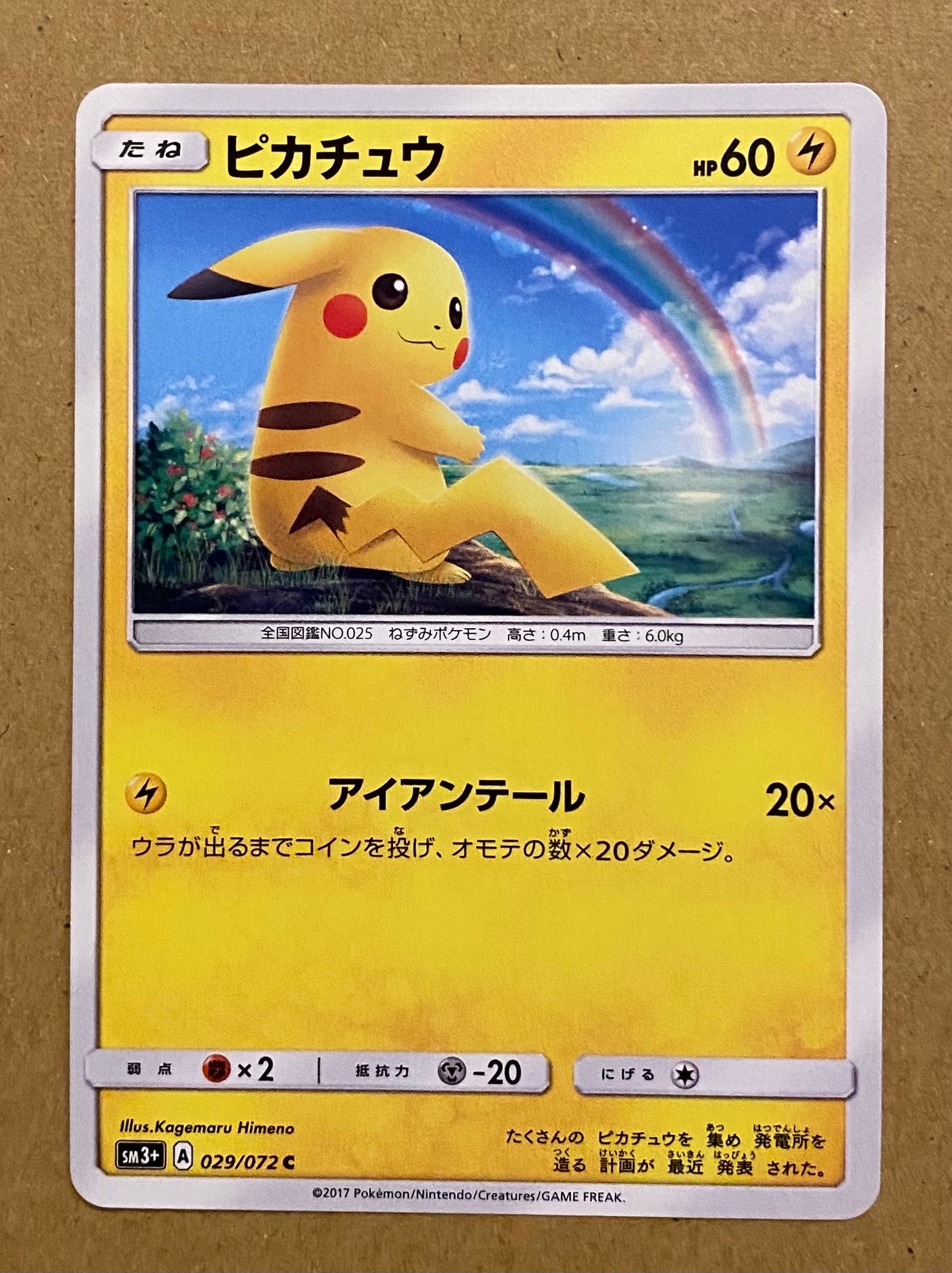 ピカチュウ P [BW-P 229/BW-P](プロモーションカード「ポケモン