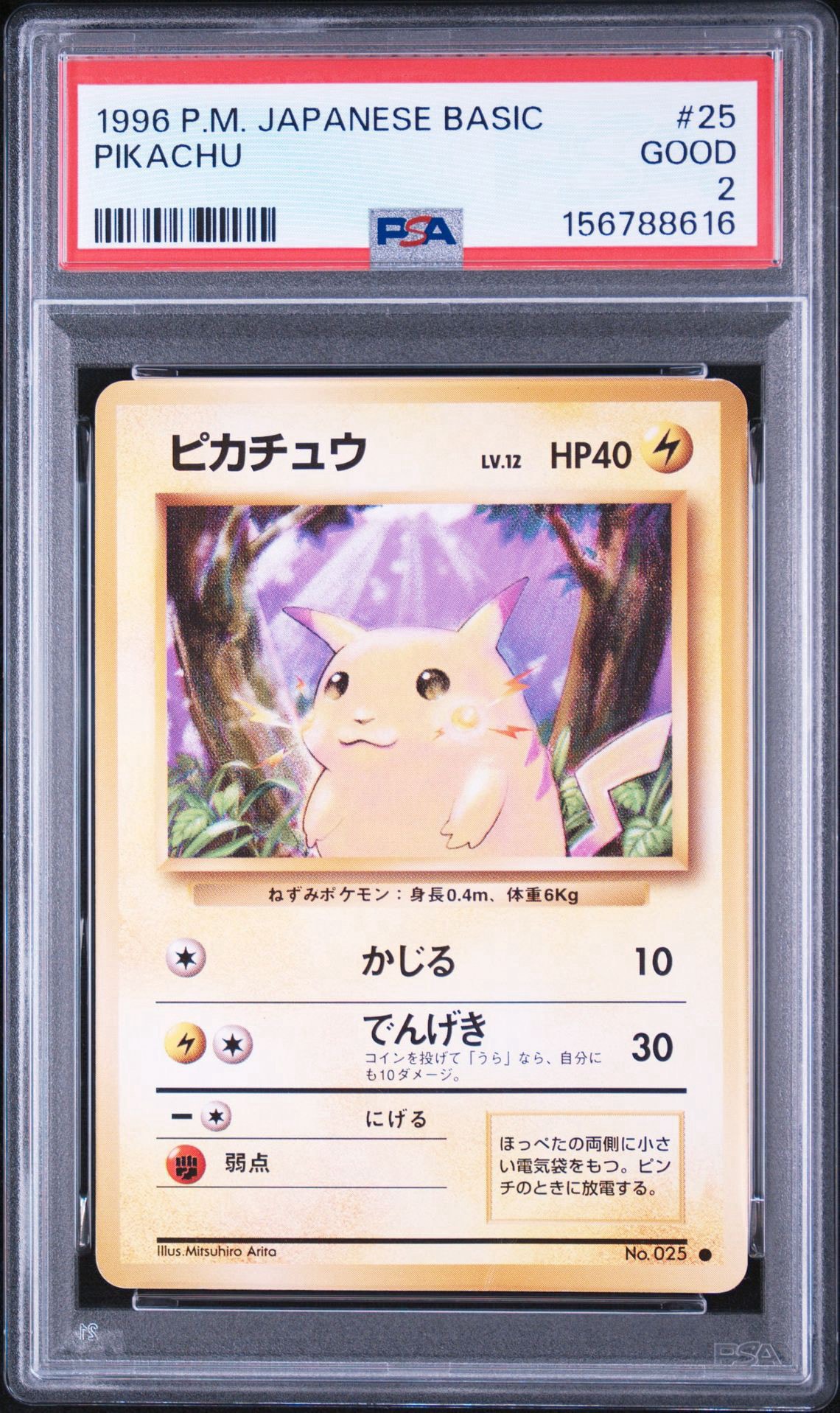 PSA8以下】ピカチュウ ○ : 旧裏 [PMCG1-2](拡張パック