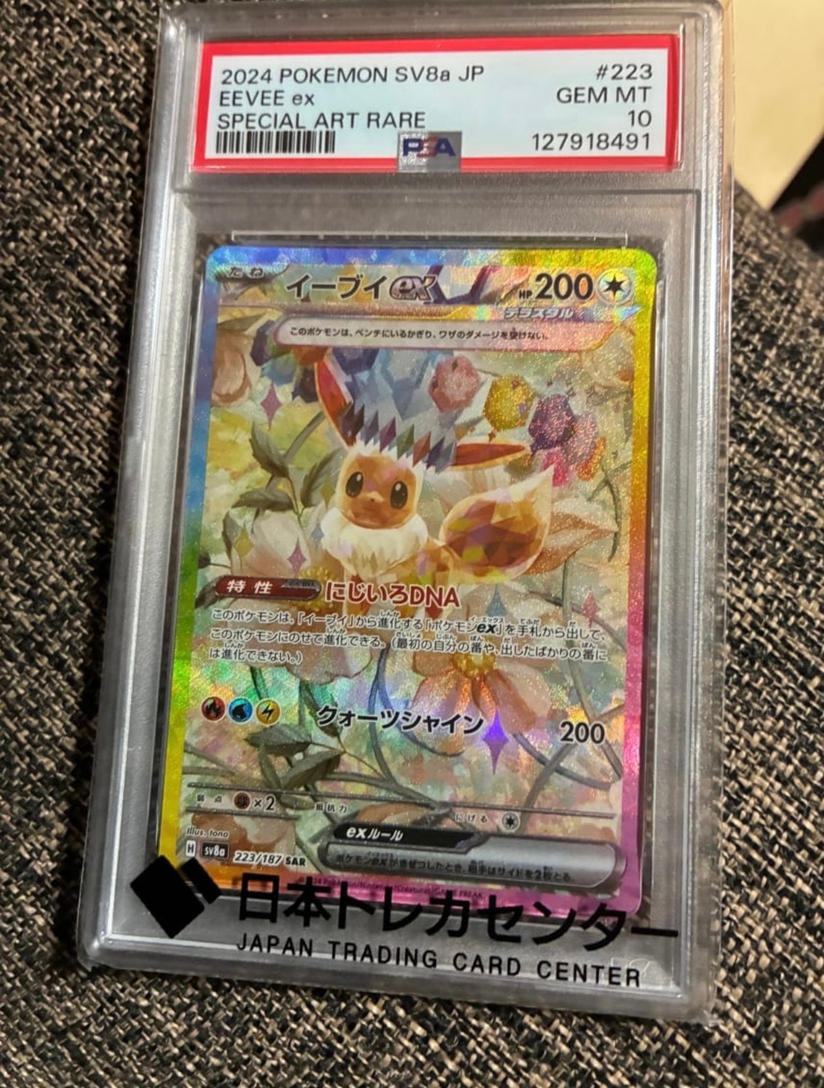 ピカチュウ: バトルフェスタ2014プロモ[XY-P 090/XY-P](プロモーション