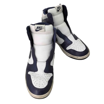 WMNS DUNK LUX【1141445514932】