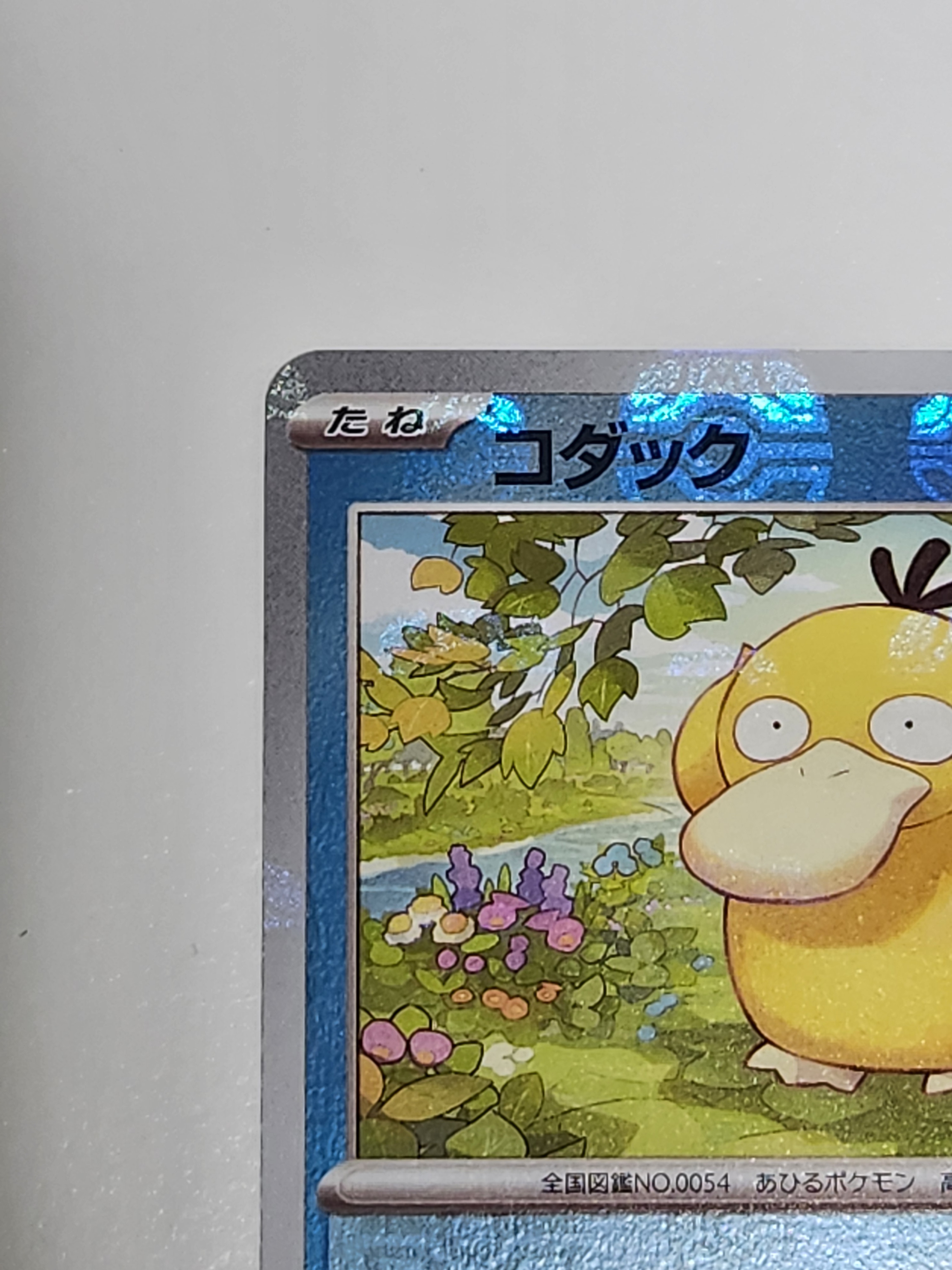 psyduck pokemon card value Psyduck 79/105 Common 1st Edition Pokemon Card Near Mint main image 1