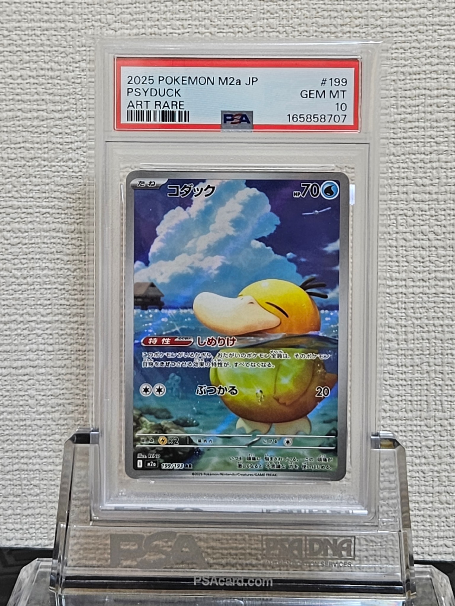 コダック AR [M2a 199/193](ハイクラスパック「MEGAドリームex」)通販