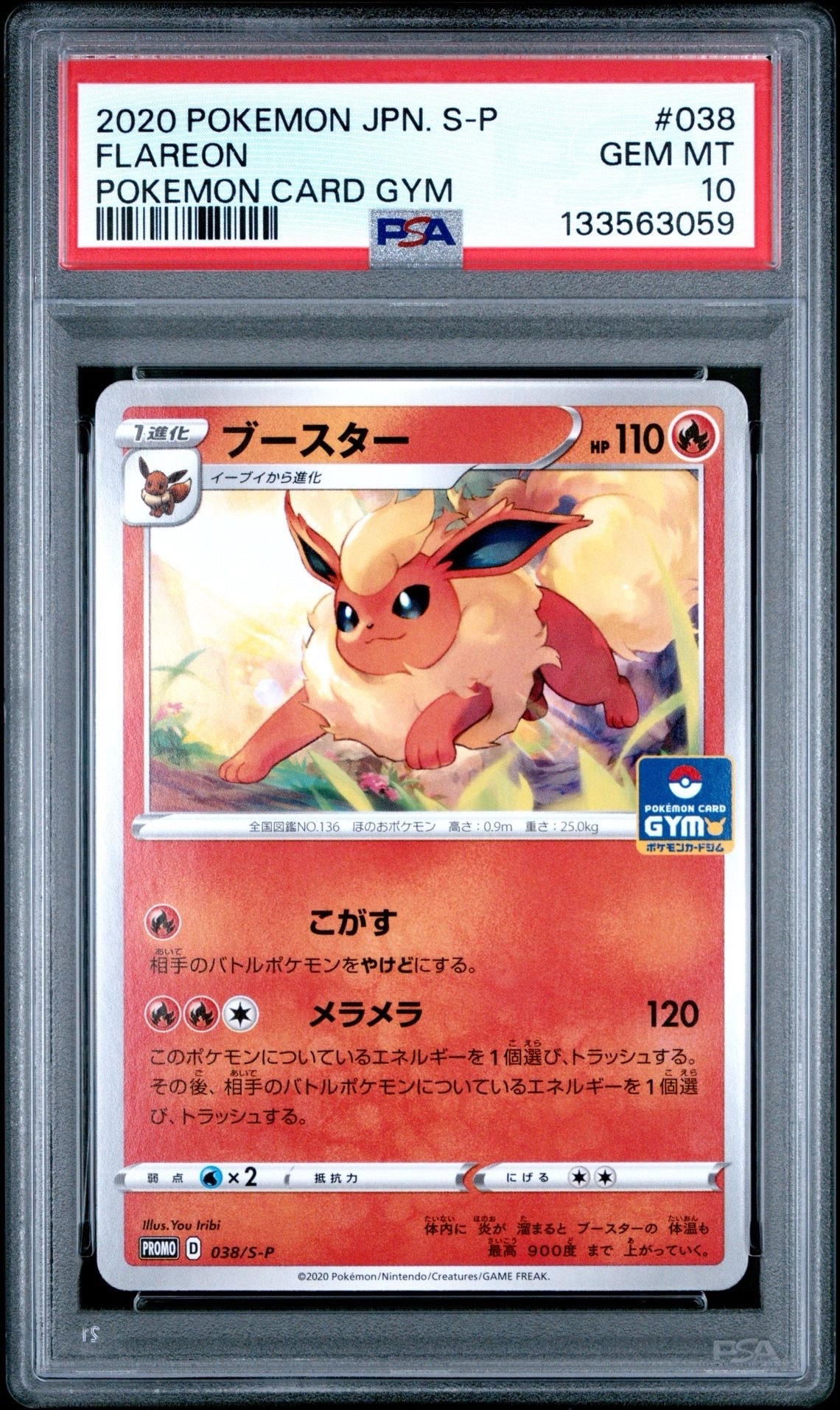 ブースター: プロモ P [S-P 038](ポケモンカードゲーム ソード&シールド 「プロモカードパック 第2弾」)
